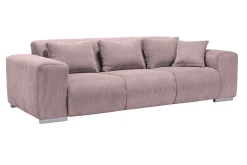 Caribbean 3+2½ blossom