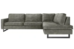 Mexico hoekbank forest