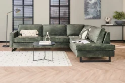 Mexico hoekbank forest