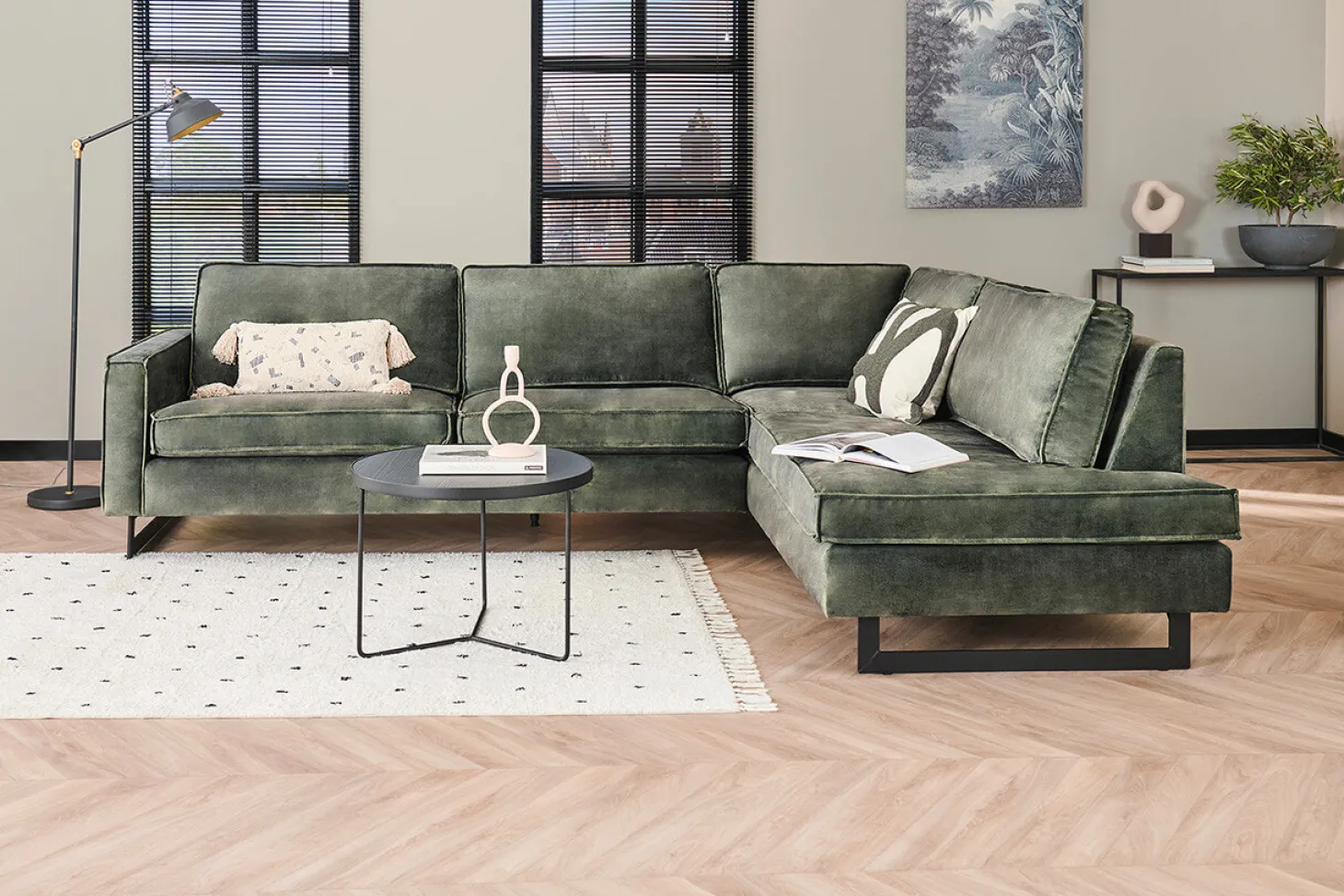 Mexico hoekbank forest