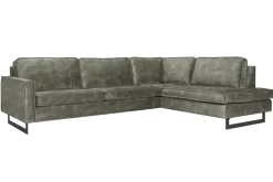 Mexico hoekbank forest