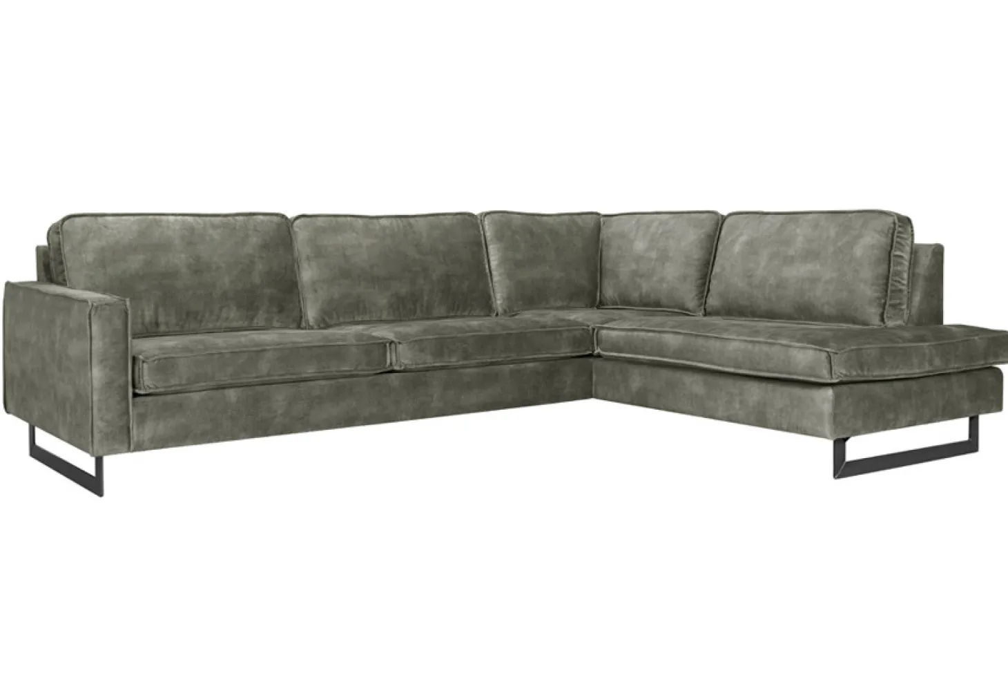 Mexico hoekbank forest