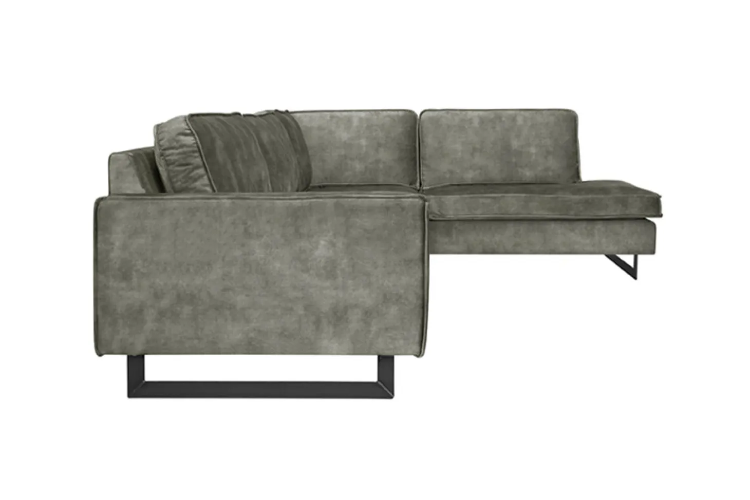 Mexico hoekbank forest